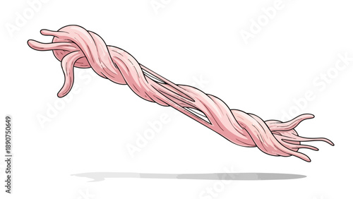 Illustrative representation of interwoven biological tissue or musculature showcasing complex internal anatomical structure visually for medical and
