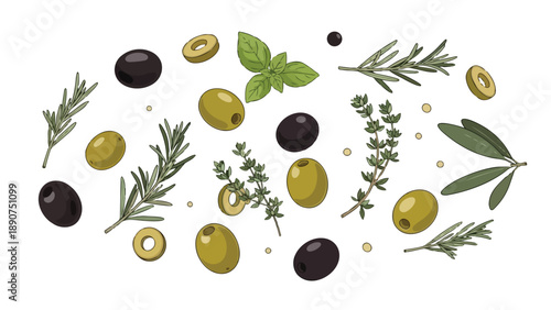Vibrant Mediterranean Food Elements with Fresh Olives Herbs and Spices Flat Lay Illustration Isolated
