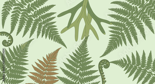 Botanical Illustration with Ferns, Nature Background with Plant Leaves Illustration, Tropical