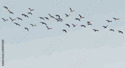 Flock of birds silhouetted against a clear, bright sky creating a sense of freedom and migration