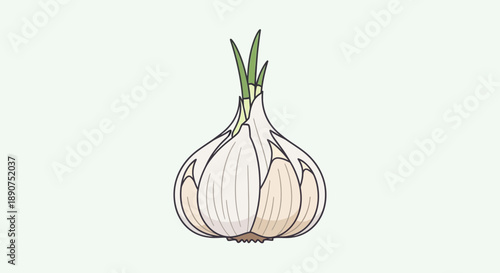 Detailed garlic illustration featuring bulb with sprouting green stems on white canvas