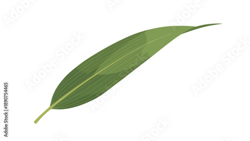 A vibrant solitary green leaf showcasing natural elegance and simple organic form, a fresh botanical element symbolizing growth and environmental