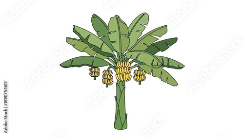 Tropical banana tree illustration showcasing vibrant green foliage and ripe yellow fruit bunches, perfect for nature themed designs and healthy