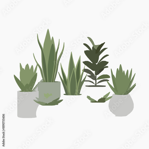 Stylized 3D potted plant set in ceramic pots isolated on white background for design