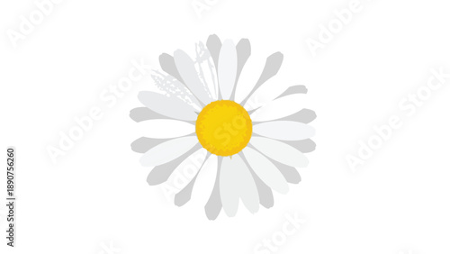 A striking modern graphic depicting a fresh white daisy with a bright golden yellow center. This elegant floral emblem radiates simplicity, purity,