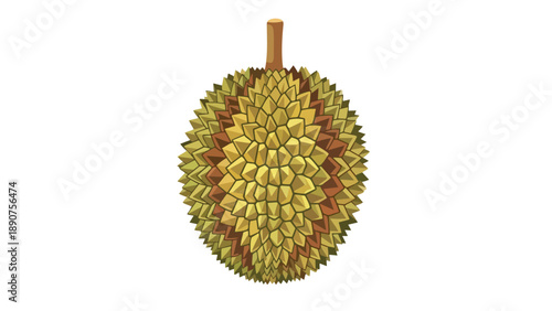 Colorful illustration of a tropical durian fruit with its spiky textured skin