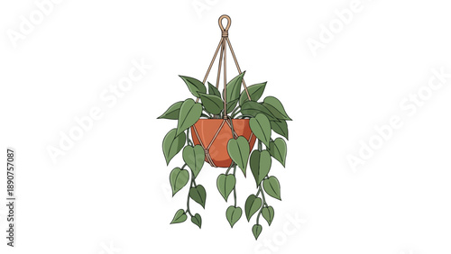 Delightful green foliage flourishes in a suspended terracotta pot, illustrating interior botanical elegance and fresh, vibrant home decor elements