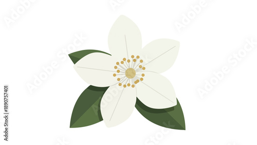 Minimalist white blossom illustration with verdant leaves, symbolizing freshness and nature's elegance.