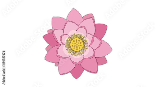 Vibrant pink water lily illustration with delicate petals and golden center on a pure white background