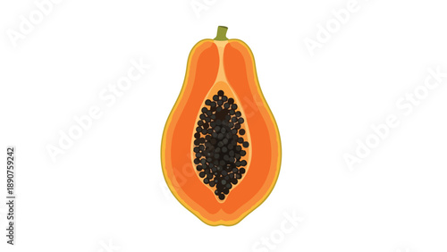 Freshly cut vibrant orange papaya illustration with dark seeds against a clean white backdrop