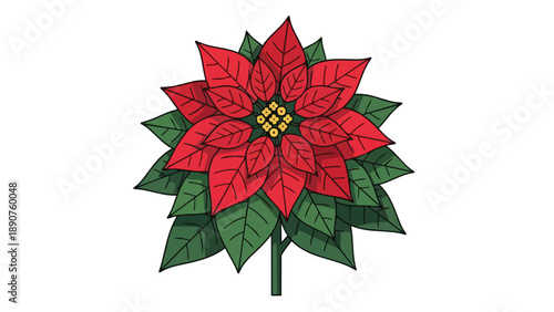 Vibrant botanical illustration of a stunning crimson flower with lush green foliage depicting natural beauty and elegant plant form against a pure