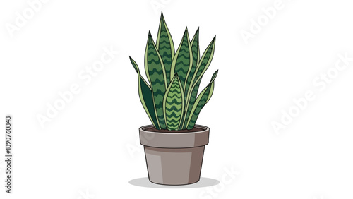 Vivid cartoon depiction of a popular houseplant, the resilient snake plant, with its distinctive tall, variegated green leaves elegantly rising from