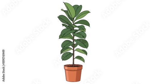 Illustrative green houseplant in a terra cotta pot isolated on white background digital graphic asset