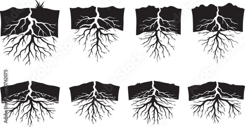 Collection of various tree root system illustrations in black