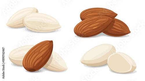 An exquisite collection of raw and blanched almond nuts showcasing their distinct textures and nutritional value a perfect illustration of healthy