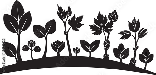 Black Silhouette of Various Plants on White Background Illustration