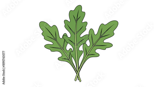 Vibrant green illustration of fresh garden rocket leaves ready for culinary use perfect for healthy eating promotion and natural food themes a crisp