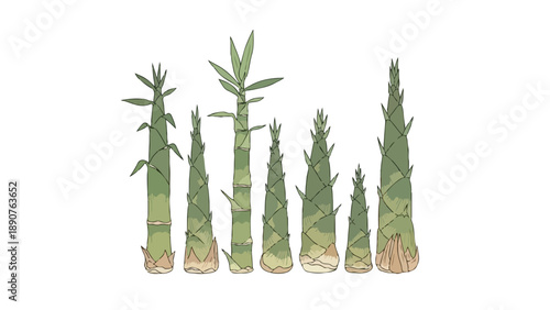 Illustrative collection of developing bamboo plants showcasing growth stages and natural elegance