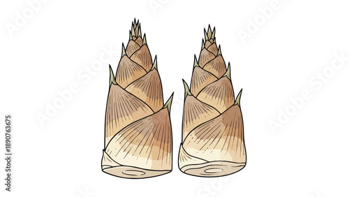 Two clearly depicted bamboo shoots. Their conical shape, segmented texture, and natural colors are prominently featured. A great image for food and