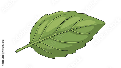 A vibrant and fresh green leaf depicted in a delightful cartoon style with clear venation providing a touch of nature's simple beauty for various