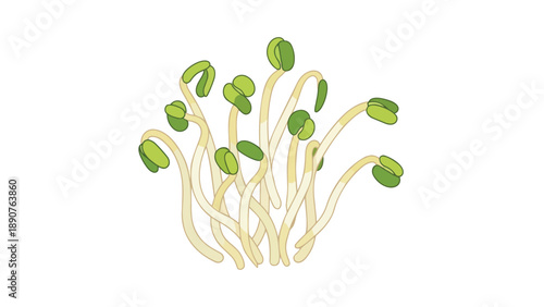 A charming vector illustration of young, vibrant green sprouts emerging from their seeds, symbolizing new life, growth, and natural fresh