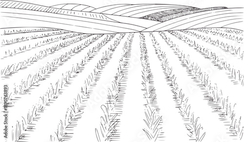 Pen and ink of cultivated fields and rolling hills cultivation agriculture