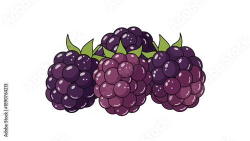 A vibrant illustration of ripe and juicy blackberries with fresh green leaves on a clear white background perfectly capturing their natural beauty