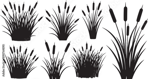 Black Silhouettes of Cattails on White Background Illustration Set