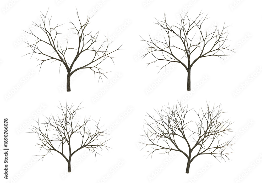 Obraz premium Four Bare Autumn Trees with Intricate Branches and Twigs Against a White Background Isolated Transparent Background