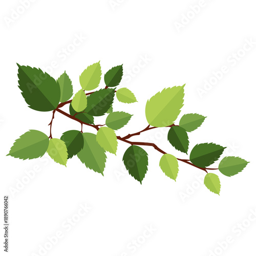Green Branch Illustration with Leafy Foliage Nature Botanical Element