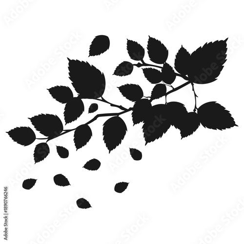 Silhouette Detail Leaves Branch with Falling Leaf Botanical Element