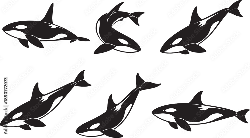 Obraz premium Orca Black White Silhouette Set