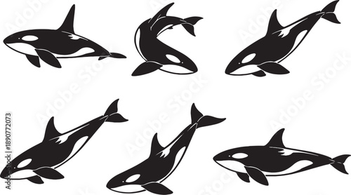 Orca Black White Silhouette Set