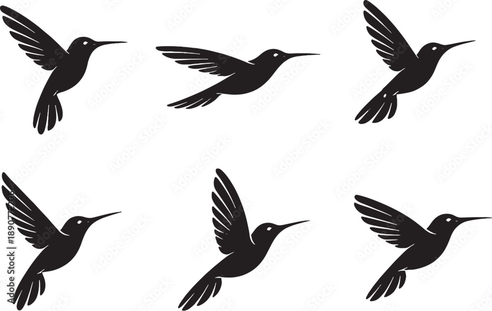 Fototapeta premium Hummingbird Silhouette Bundle Black White Hummingbird Poses