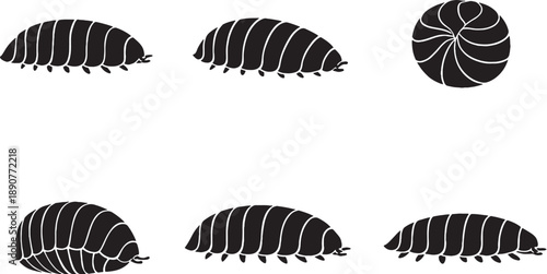Isopod Silhouette Black White Crustacean Bundle
