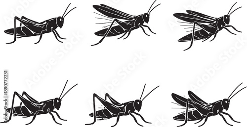 Grasshopper Silhouette Set