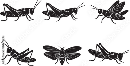 Grasshopper Black and White Silhouette Set