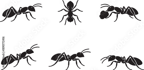 Ant Black and White Silhouette Set