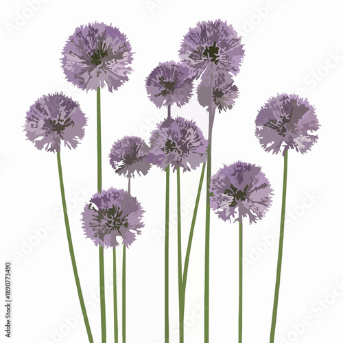 Realistic 3D Allium flower plant set isolated on white background ornamental garden asset