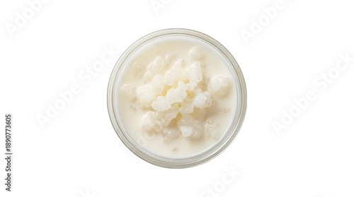 Top Down View of White Milk Kefir Grains in a Glass Jar