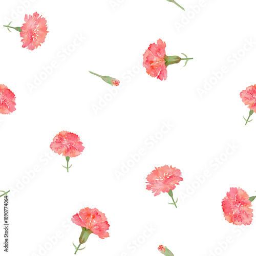 Fotografija Seamless pattern of watercolor carnation flowers and buds, hand painted floral repeat background for Mother's Day and gift wrapping on transparent background
