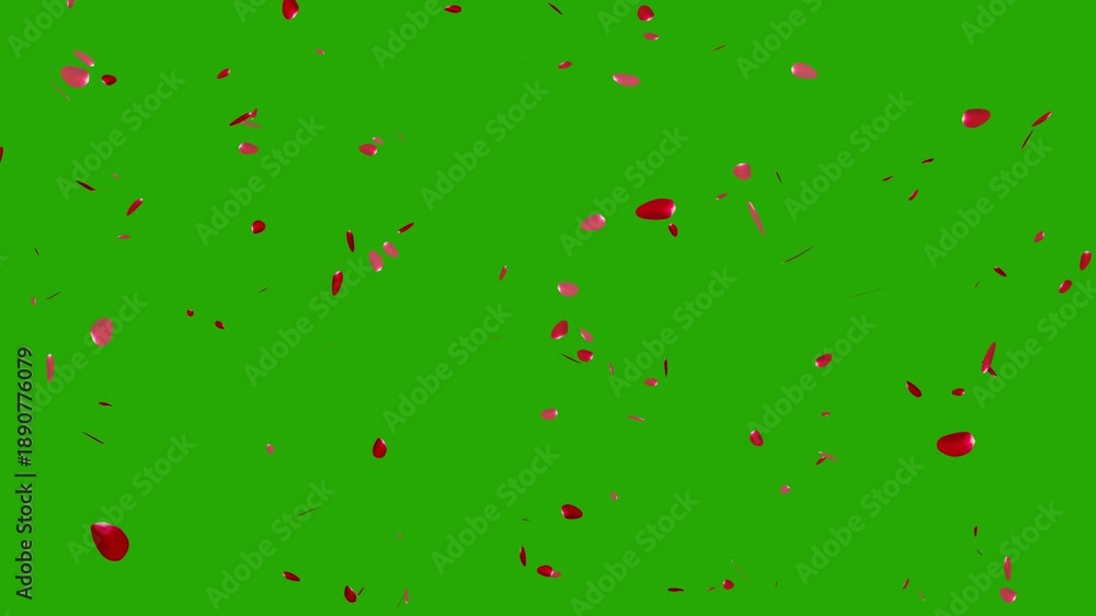 falling cherry blossom petals, falling red rose petals on green screen ...