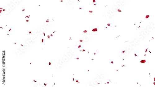 Wallpaper Mural realistic falling red petals transition 4k loopable overlay with alpha channel. red rose petals falling , red flower petals falling animation. Torontodigital.ca
