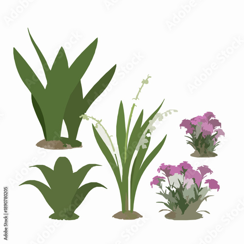 3D ornamental plant collection Arthropodium Convallaria Dianthus isolated on white background