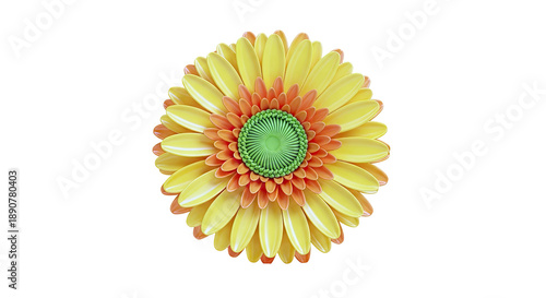 Vibrant Gerbera Daisy in Yellow and Orange