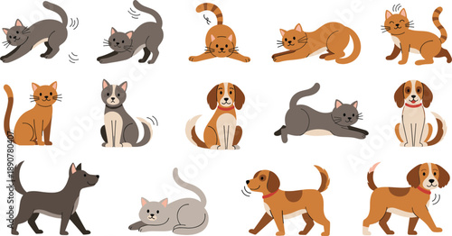 Cute cats and dogs set in playful poses showing sitting, stretching, walking pets in flat vector style