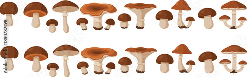 Forest Mushroom And Botanical Elements Vector Set With Wild Fungi Leaves Ferns And Nature Illustration Collection