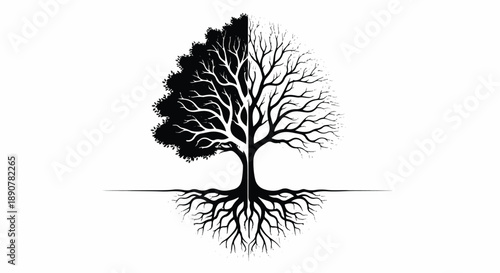 A tree with half its branches in shadow and visible roots, a symbol of contrast and duality