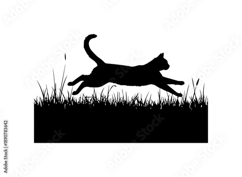 Cat Running in Grass
