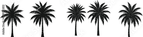 Palm tree silhouette collection featuring tropical coconut palms in different shapes for summer and nature design projects
